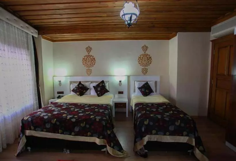 Fotos del hotel Bacchus Pension:  13