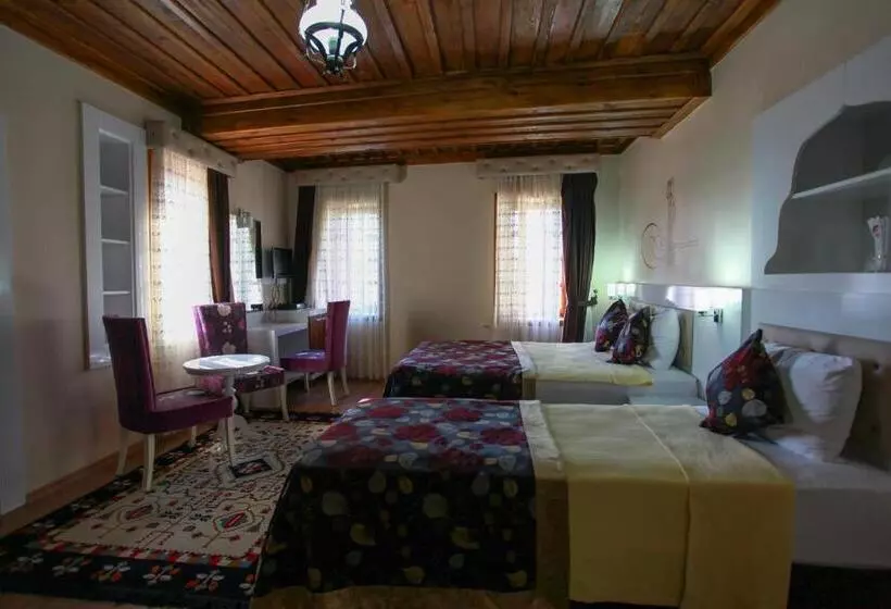 Fotos del hotel Bacchus Pension:  19