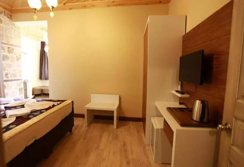 Fotos del hotel Bacchus Pension:  16