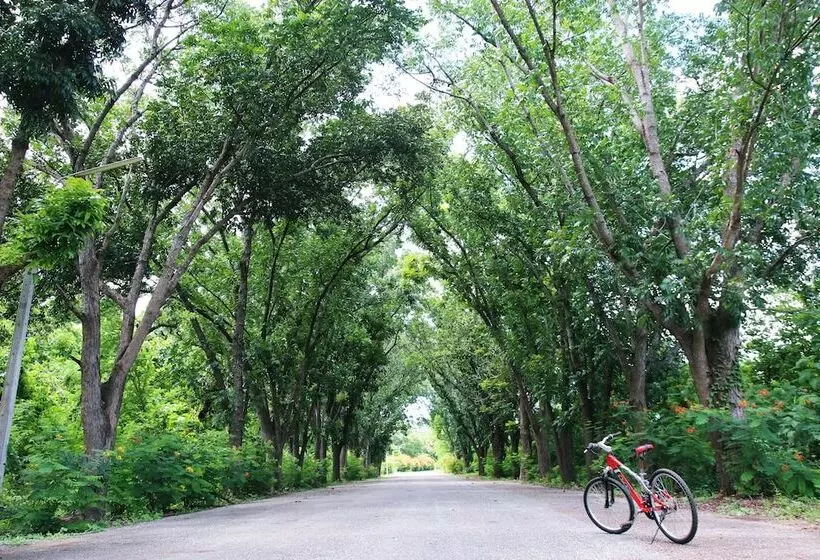 Fotos del hotel Aekpailin River Kwai Resort Kanchanaburi:  10