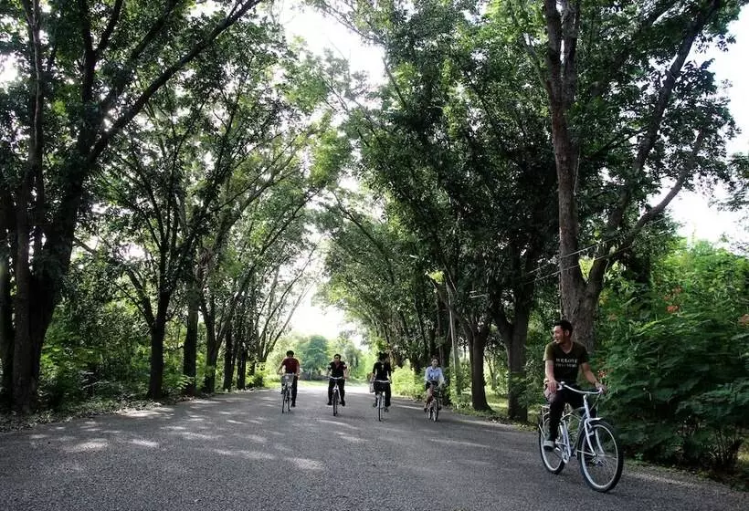 Fotos del hotel Aekpailin River Kwai Resort Kanchanaburi:  6