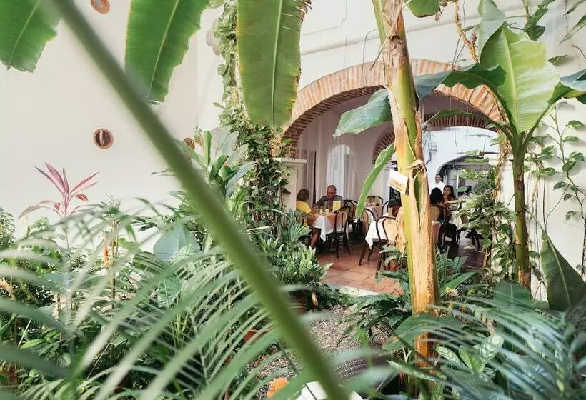 Fotos del hotel Alfiz:  2