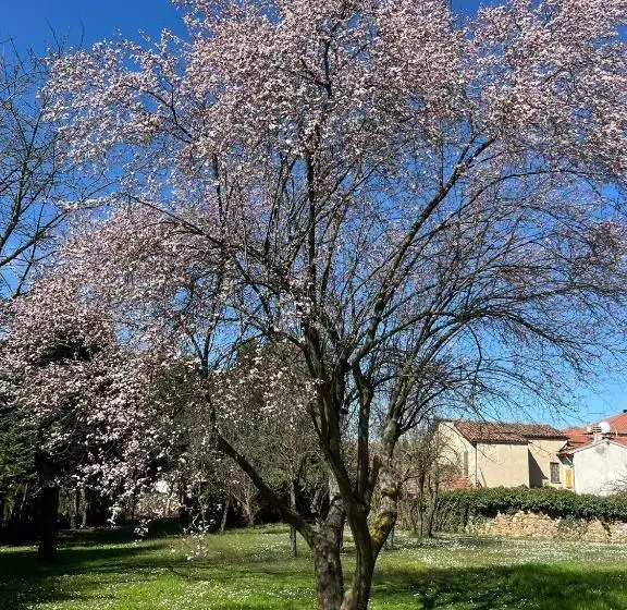 Fotos del hotel Relais Villa Degli Aceri:  5