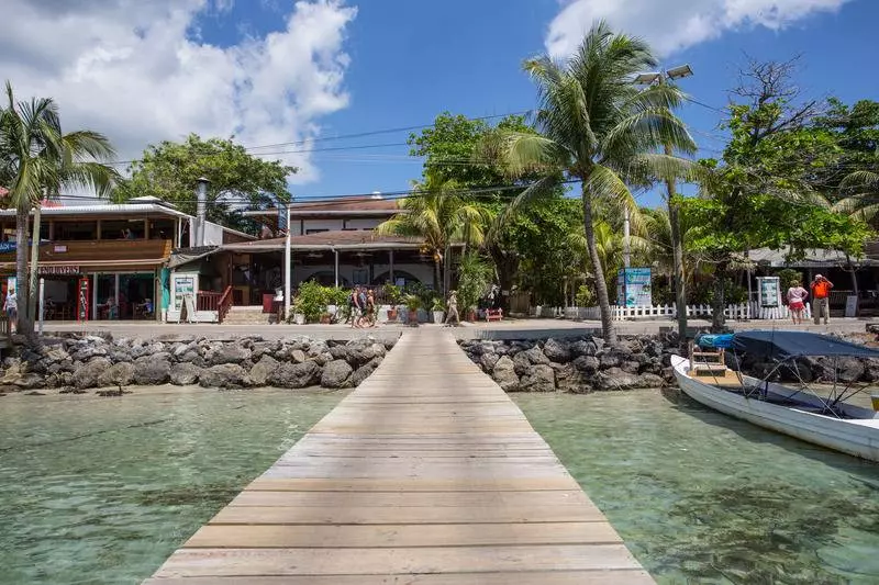 Fotos del hotel Splash Inn Dive Resort & Villas:  24