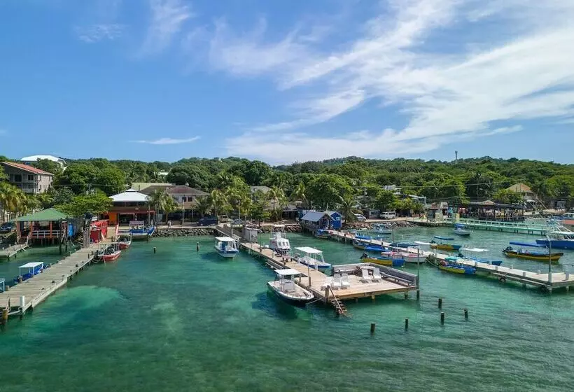 Fotos del hotel Splash Inn Dive Resort & Villas:  8