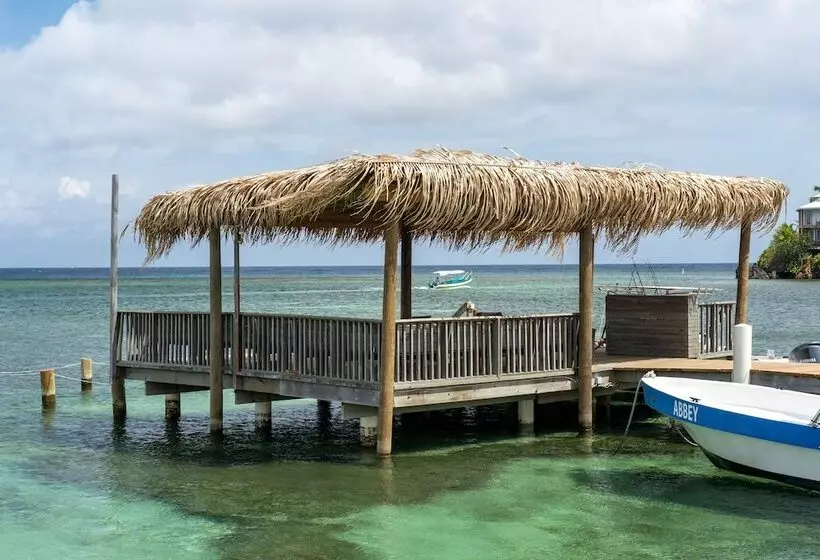 Fotos del hotel Splash Inn Dive Resort & Villas:  3