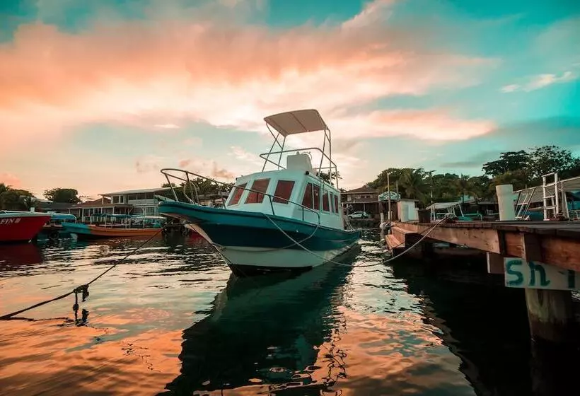 Fotos del hotel Splash Inn Dive Resort & Villas:  22