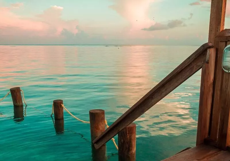 Fotos del hotel Splash Inn Dive Resort & Villas:  13