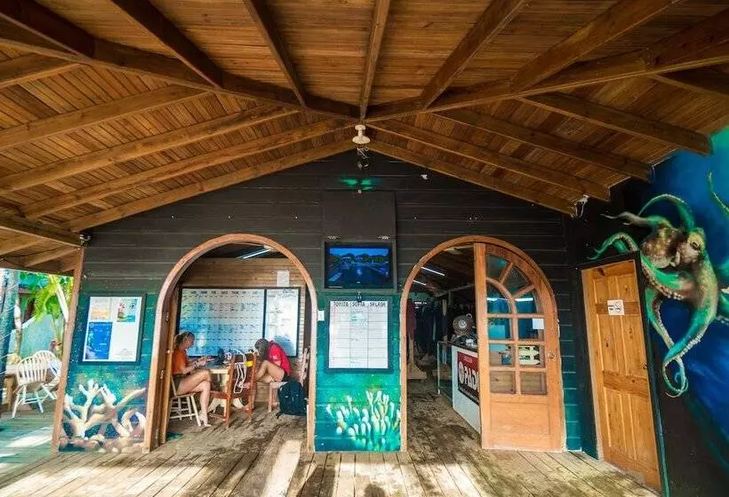 Fotos del hotel Splash Inn Dive Resort & Villas:  4