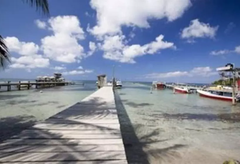 Fotos del hotel Splash Inn Dive Resort & Villas:  18