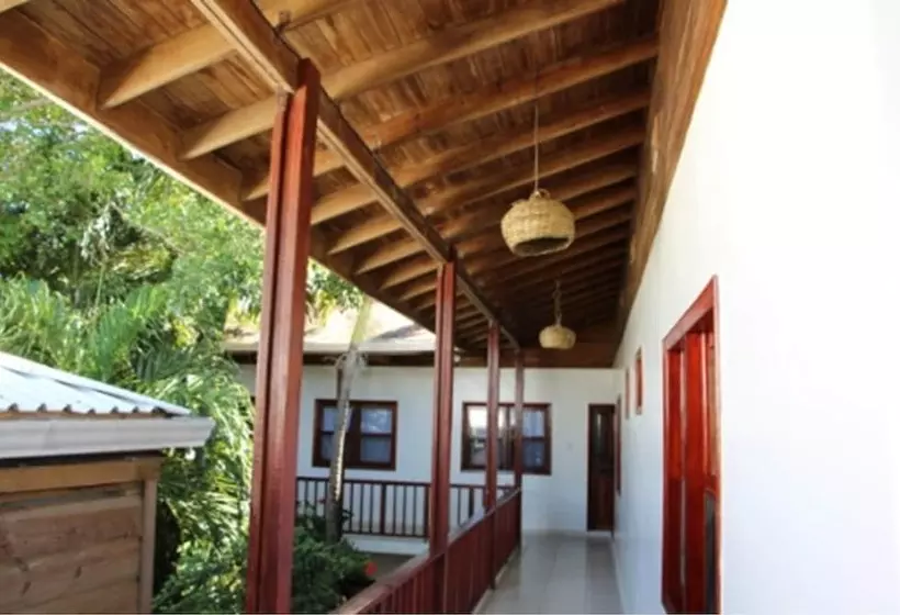 Fotos del hotel Splash Inn Dive Resort & Villas:  5