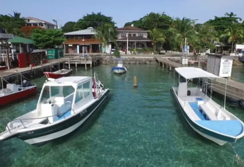 Fotos del hotel Splash Inn Dive Resort & Villas:  16