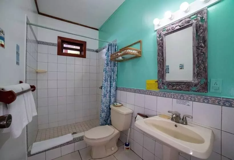 Fotos del hotel Splash Inn Dive Resort & Villas:  6