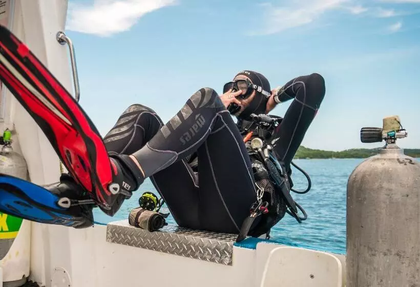 Fotos del hotel Splash Inn Dive Resort & Villas:  20