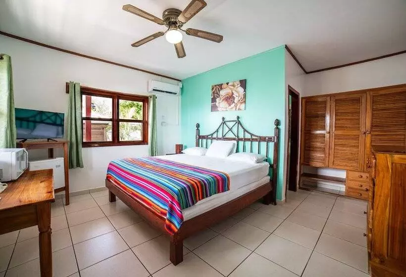 Fotos del hotel Splash Inn Dive Resort & Villas:  23