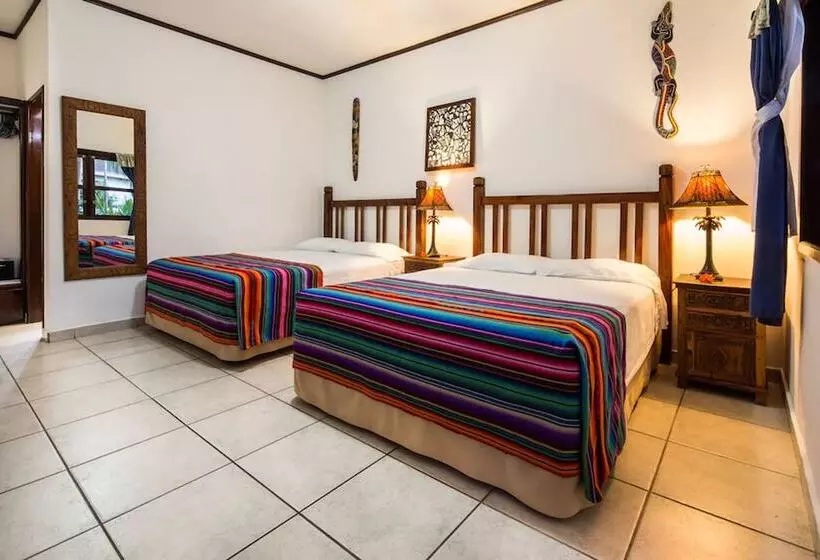 Fotos del hotel Splash Inn Dive Resort & Villas:  9