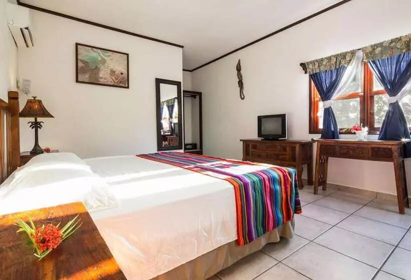 Fotos del hotel Splash Inn Dive Resort & Villas:  17