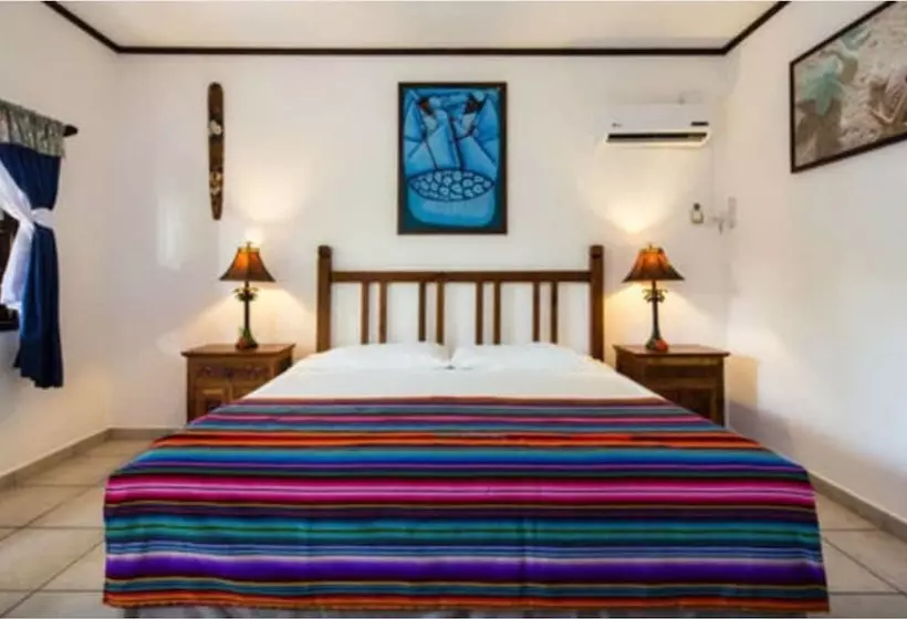 Fotos del hotel Splash Inn Dive Resort & Villas:  19