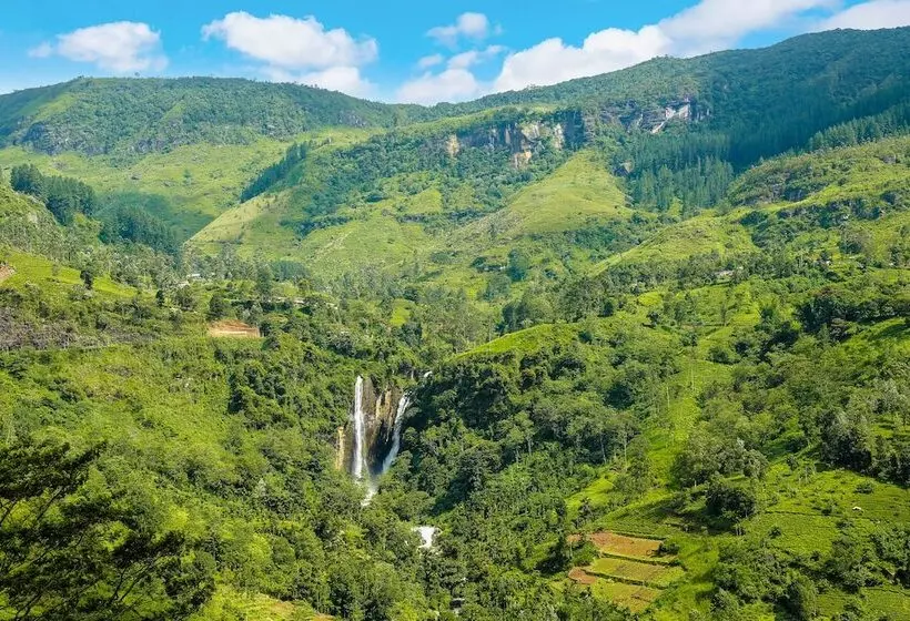 Fotos del hotel Oak Ray Tea Bush:  5