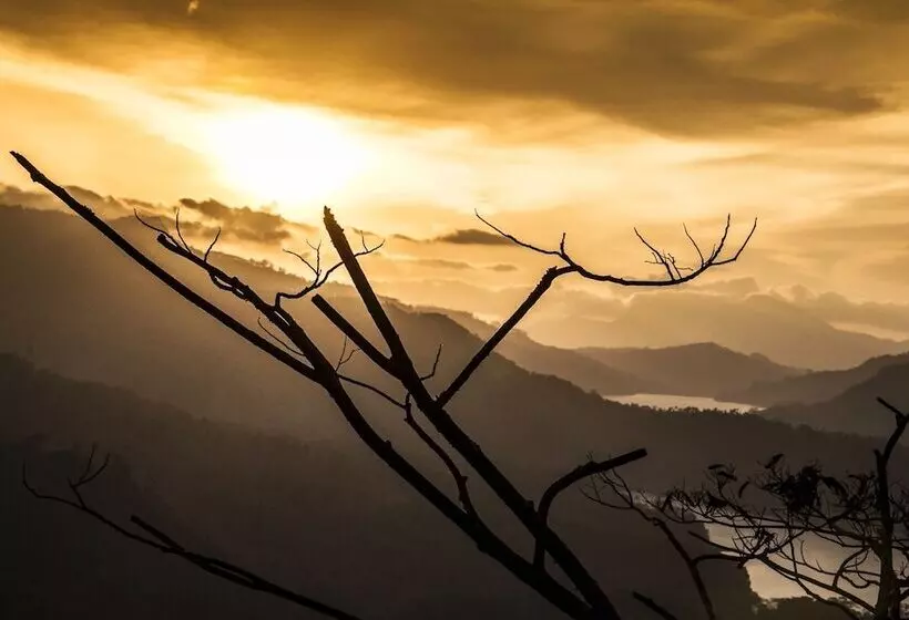 Fotos del hotel Oak Ray Tea Bush:  12