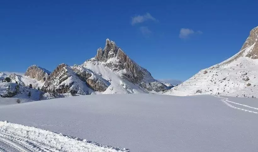 Fotos del hotel Bellaria:  9