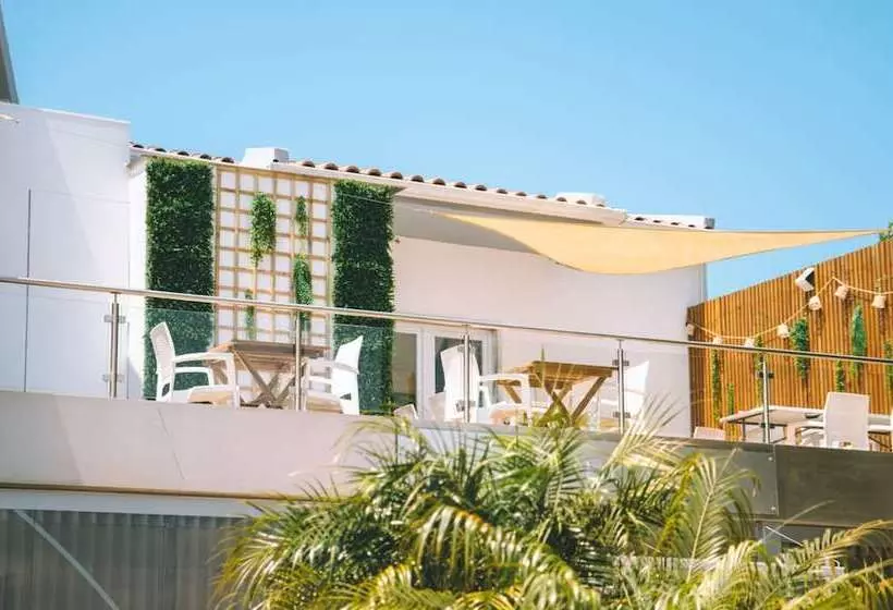 Fotos del hotel Laurus:  25