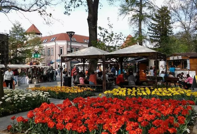Fotos del hotel Sante Hévíz:  4