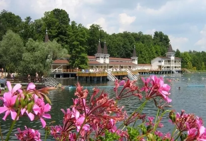 Fotos del hotel Sante Hévíz:  11