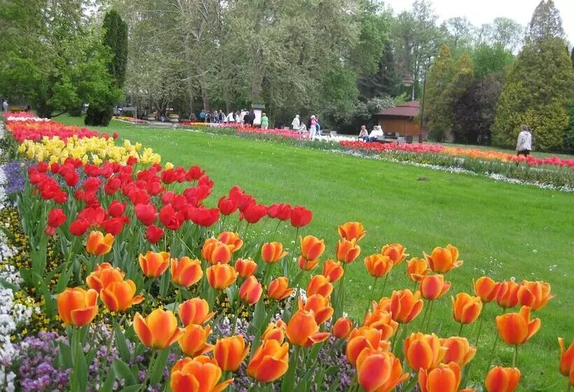 Fotos del hotel Sante Hévíz:  5