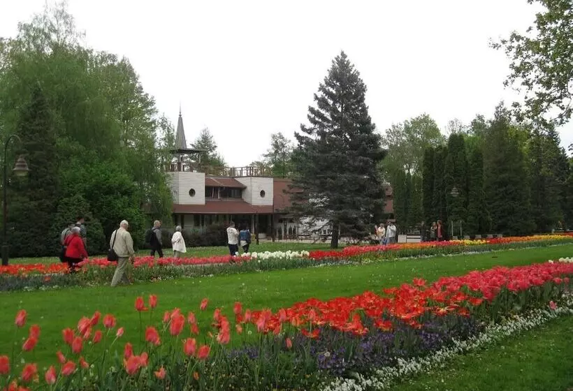 Fotos del hotel Sante Hévíz:  15