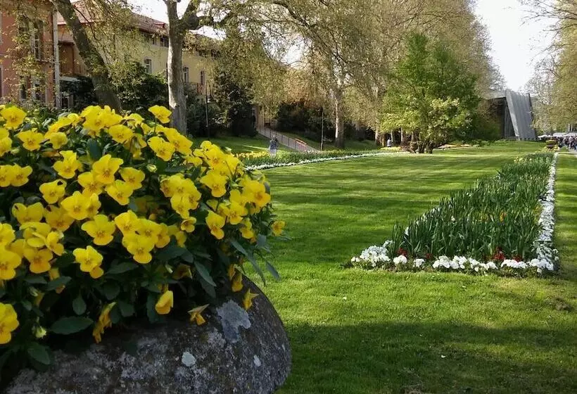 Fotos del hotel Sante Hévíz:  13