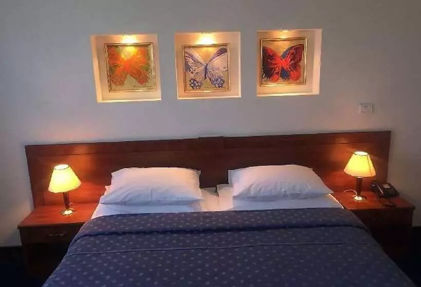 Fotos del hotel Excelsior:  24