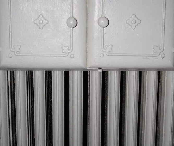 Fotos del hotel Nuovo Nord:  6