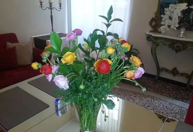 Fotos del hotel Nuovo Nord:  9