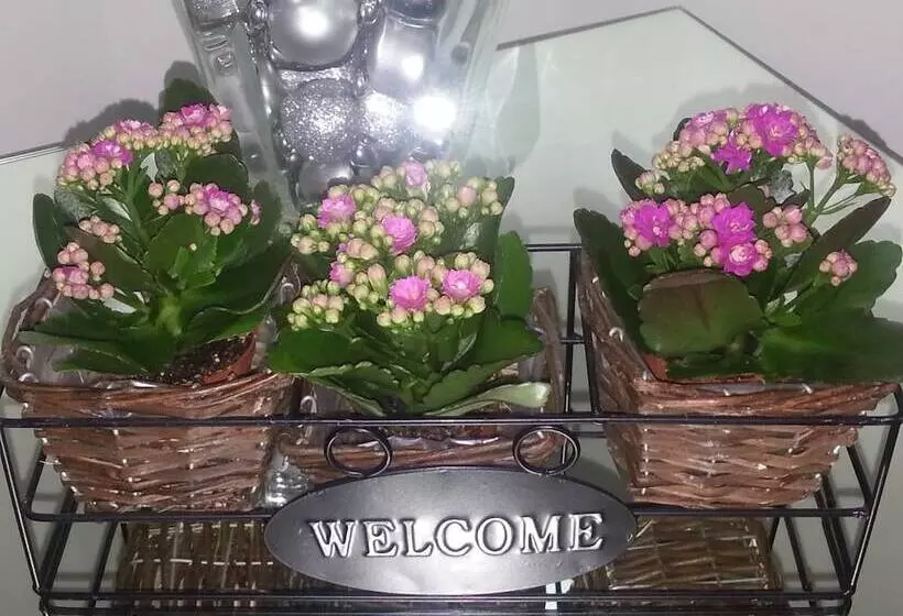 Fotos del hotel Nuovo Nord:  13