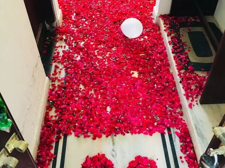 Fotos del hotel Krishna Palace:  3