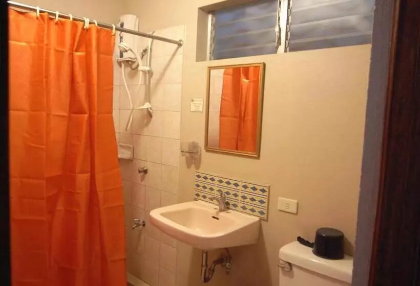 Fotos del hotel Alfonso:  5