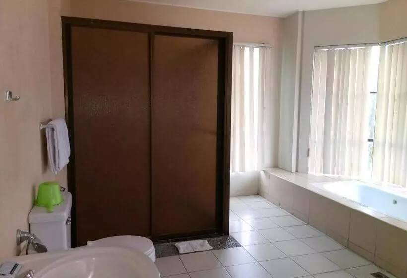 Fotos del hotel Alfonso:  8