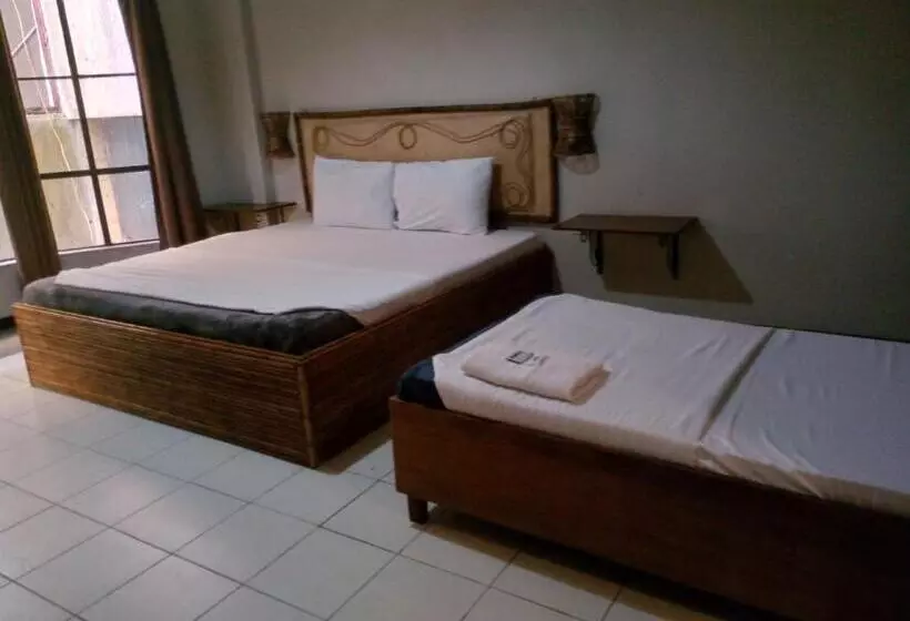 Fotos del hotel Alfonso:  19