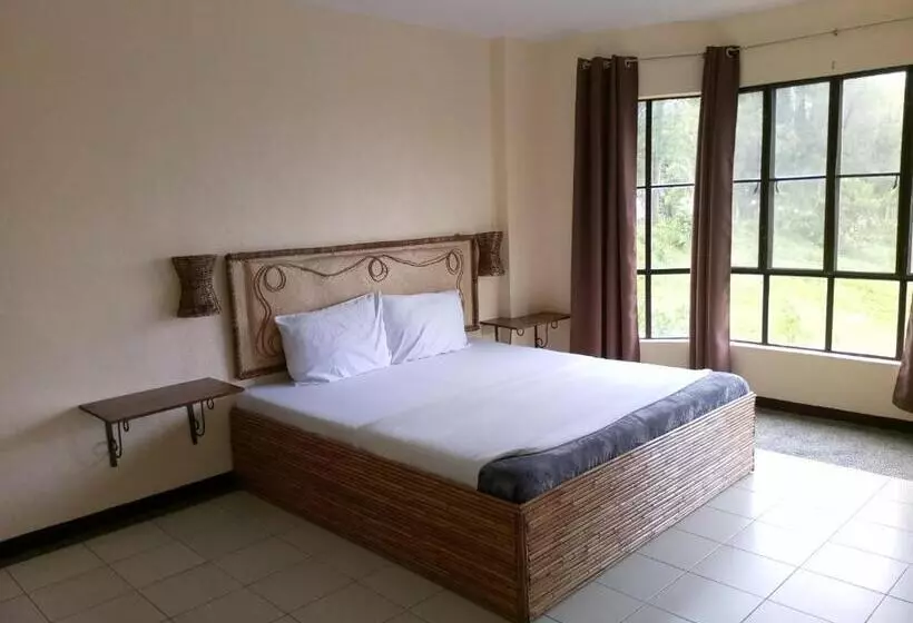 Fotos del hotel Alfonso:  16