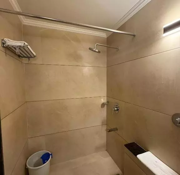 Fotos del hotel The Ambassador:  9