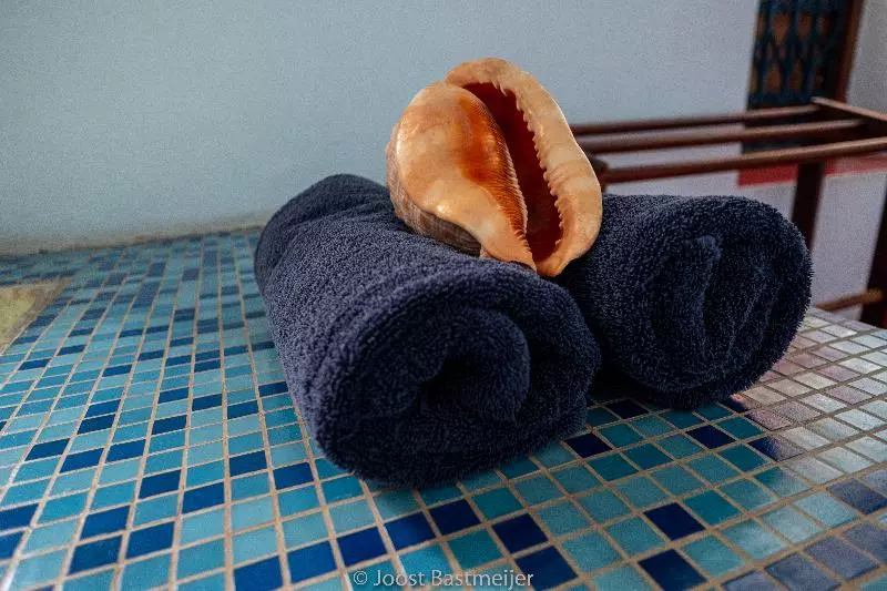 Fotos del hotel Zanzibar Palace:  4