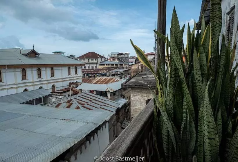 Fotos del hotel Zanzibar Palace:  12