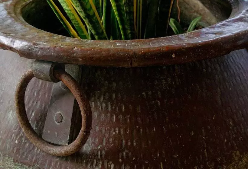 Fotos del hotel Zanzibar Palace:  11