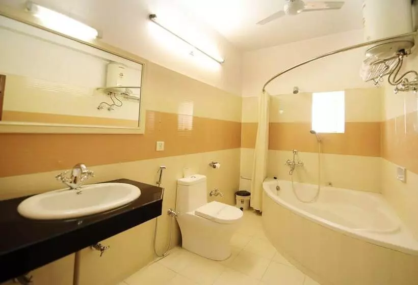 Fotos del hotel Ashish Palace:  5