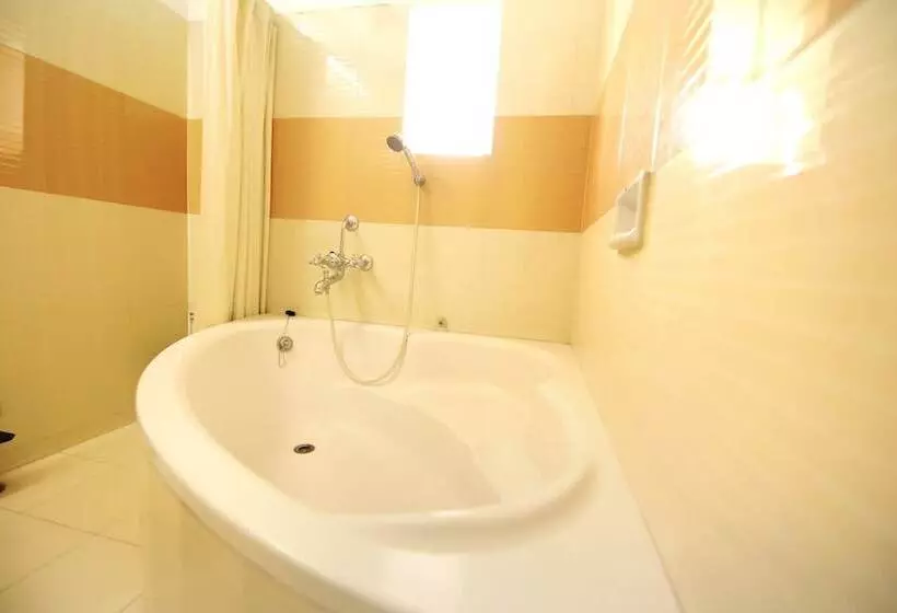 Fotos del hotel Ashish Palace:  9