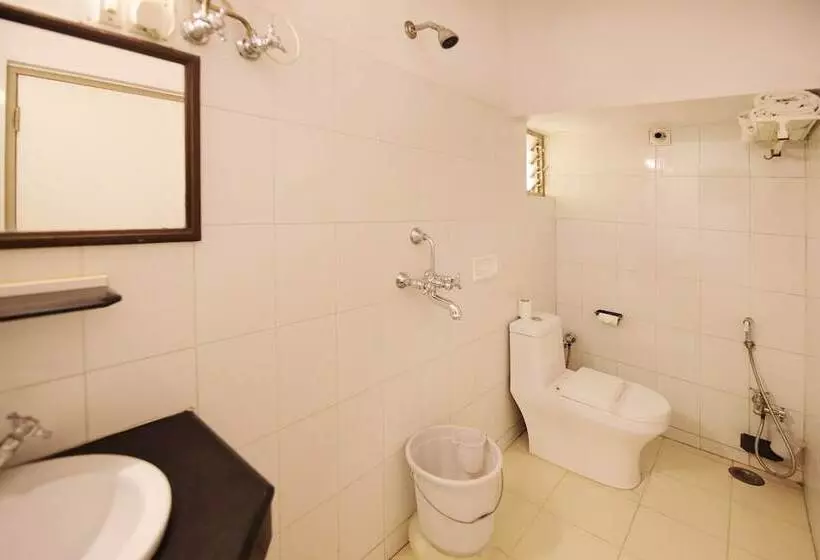 Fotos del hotel Ashish Palace:  11