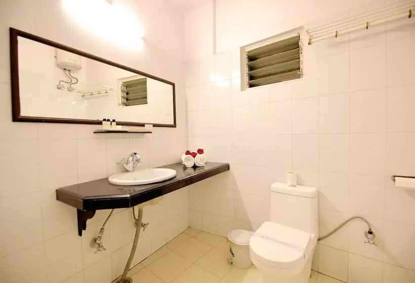 Fotos del hotel Ashish Palace:  13