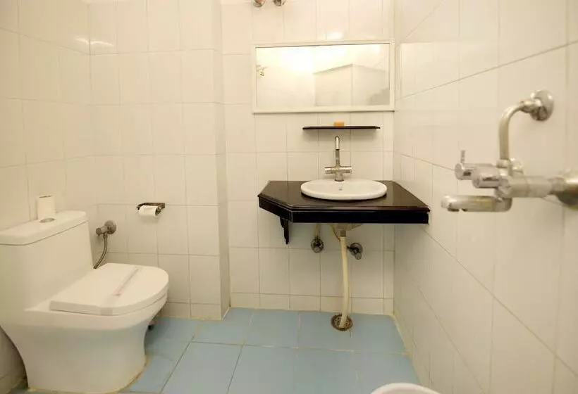 Fotos del hotel Ashish Palace:  14