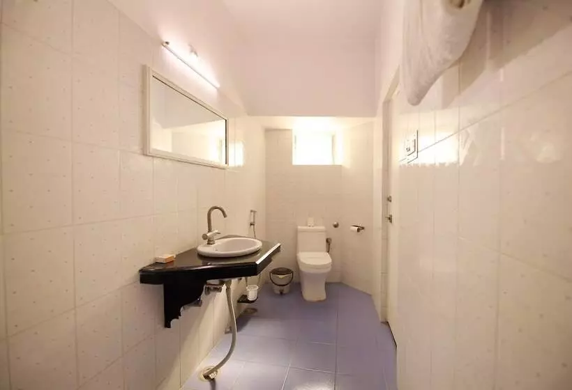 Fotos del hotel Ashish Palace:  15